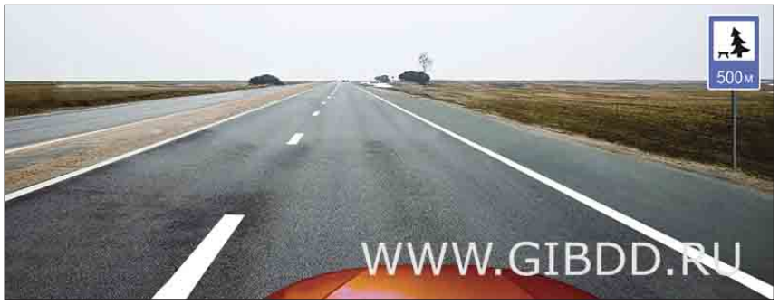 image_rFNbcIiuJh_image-3